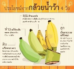 กล้วยบวชชี